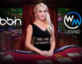 vwin德赢官网首页客户端